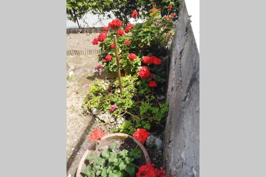 Moneghetti Daire Beausoleil Dış mekan fotoğraf
