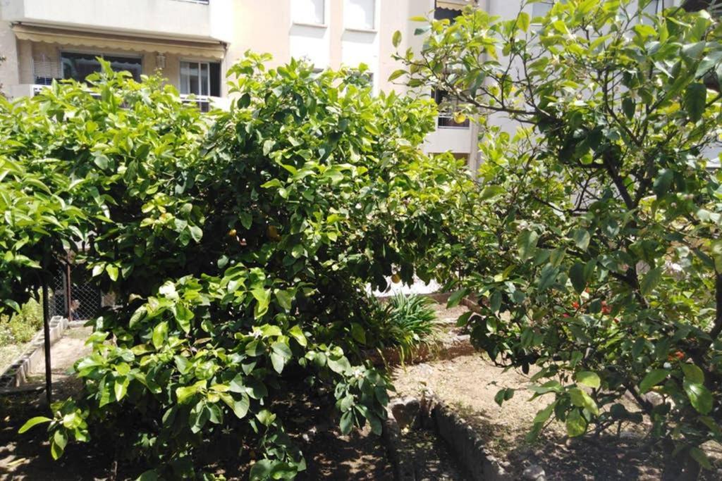 Moneghetti Daire Beausoleil Dış mekan fotoğraf